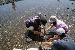 DSC06423.JPGのサムネール画像