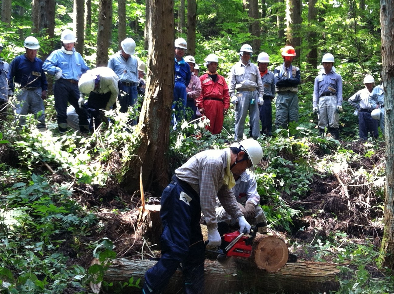 再生可能エネルギー