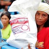【フィリピン中部台風支援】発災から20日、未だ緊急事態