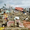 【フィリピン中部台風支援】被災地の復旧・復興を見据えて―日本からスタッフを再派遣