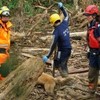 【アジアパシフィック アライアンス】台湾での台風被害、不明者の捜索活動を実施