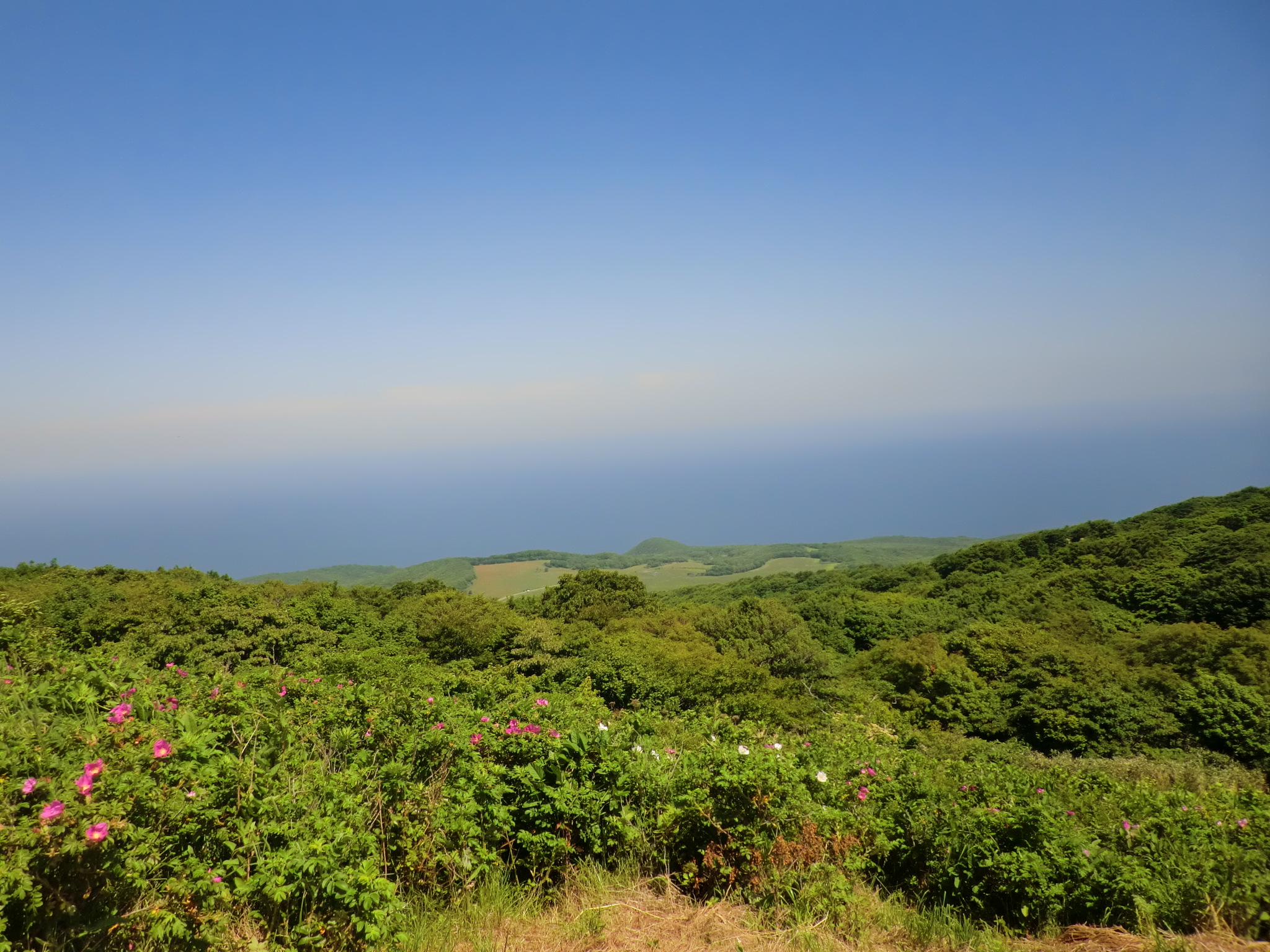 珠島の丘からの景色.JPG