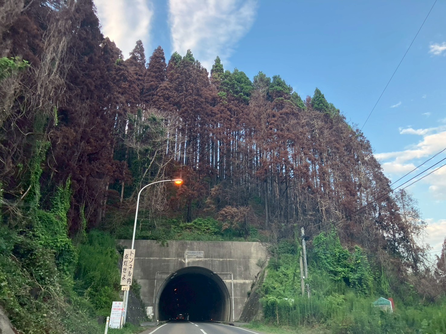 05f87465ed3acef9b998e1e22d181366-1757477386.jpg 05f87465ed3acef9b998e1e22d181366-1757477386.jpg