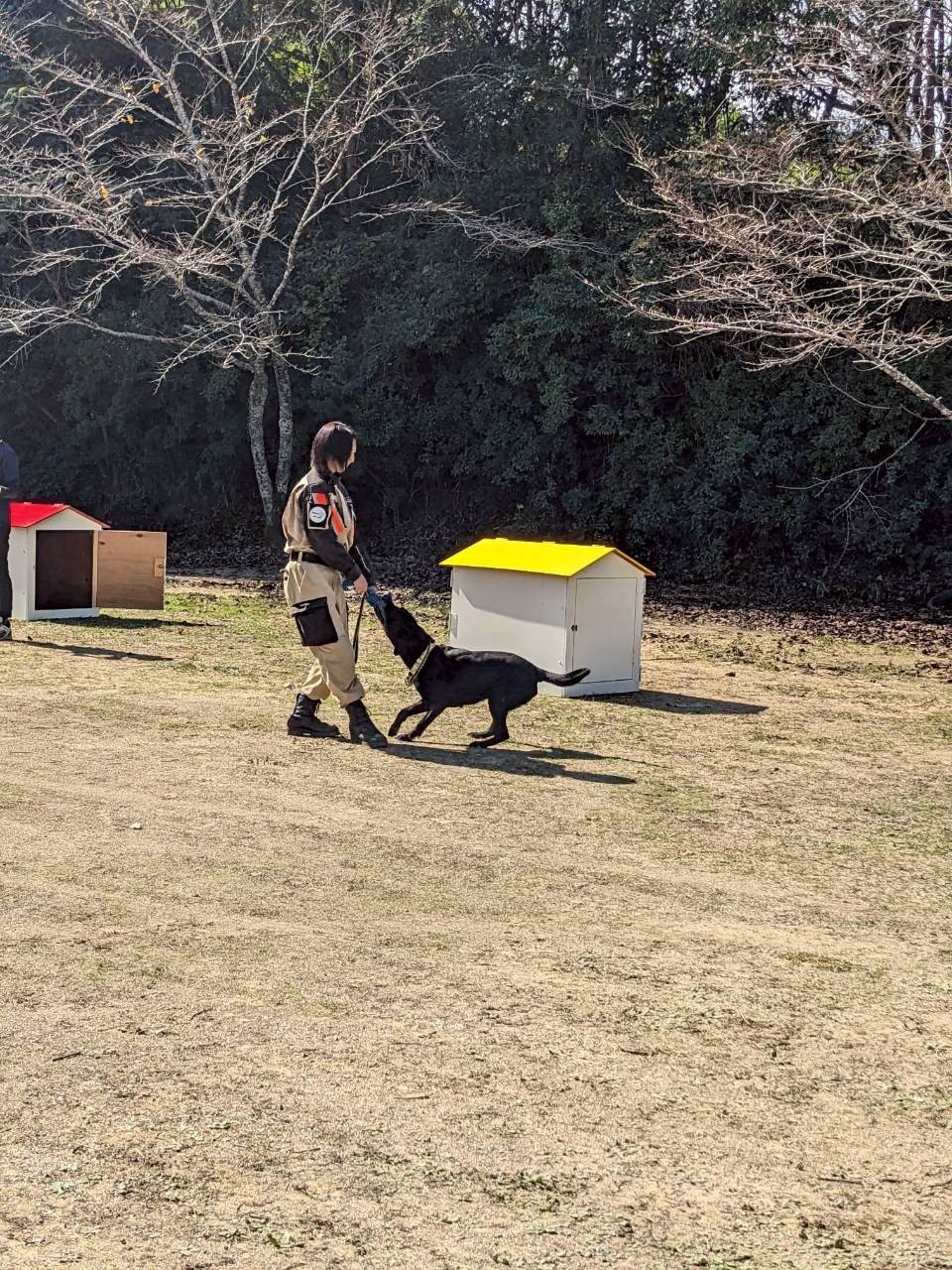 ad794ff05974e26f808126b6ff447135-1762505469.jpg ad794ff05974e26f808126b6ff447135-1762505469.jpg